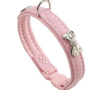 hondenhalsband joy