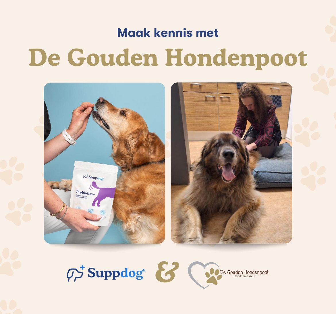 suppdog